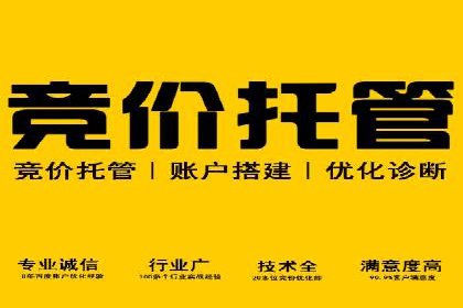某科技公司如何利用百度竞价排名服务提升品牌知名度